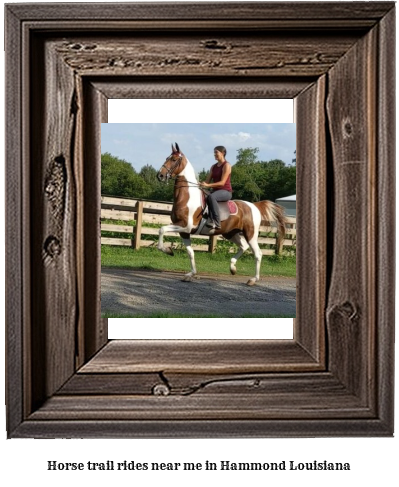 horse trail rides near me in Hammond, Louisiana